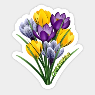 Crocuses  - Spring flowers Sticker